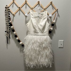 BHLDN Anthem Feathered mini Dress